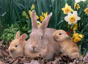 Максималните температури днес между 19° и 24°