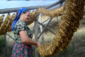 Износът на България за ЕС в началото на 2012 г. с 8% по-малко от година по-рано