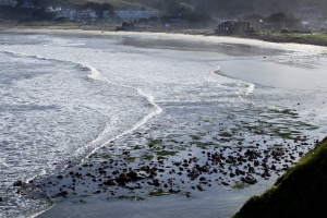 Пластмасов „континент“ заплашва да наруши екосистемата на Тихия океан