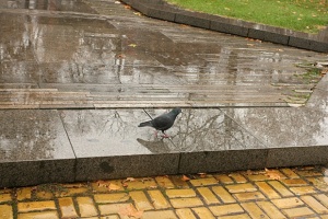 Облачността ще намалее до слънчево време