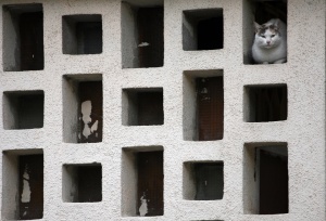 България извади късмет със слабо земетресение, според геолозите от БАН