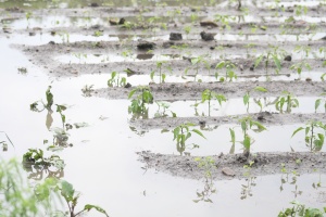 Валежите започнали да подкопават основите на блок в Рудозем