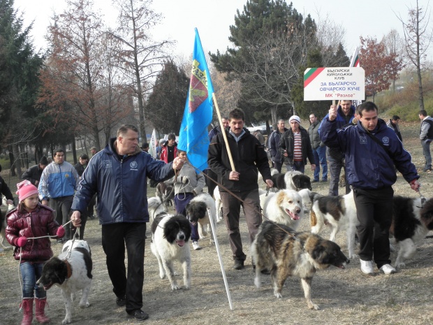 ЕС ще подпомага популяризирането на българската овчарка