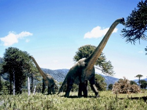 Динозаврите всъщност не били толкова тежки