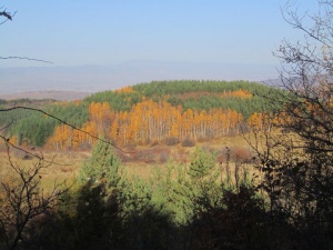 Почистване на природните паркове в събота