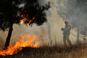 Борисов прати хеликоптер и пожарникари да гасят гръцки пожари