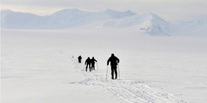 Зелената някога Антарктика показва бъдещето на световния климат