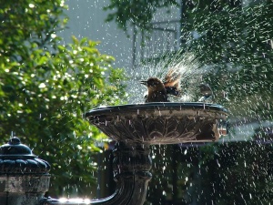 Жега между 35 и 40° през юли