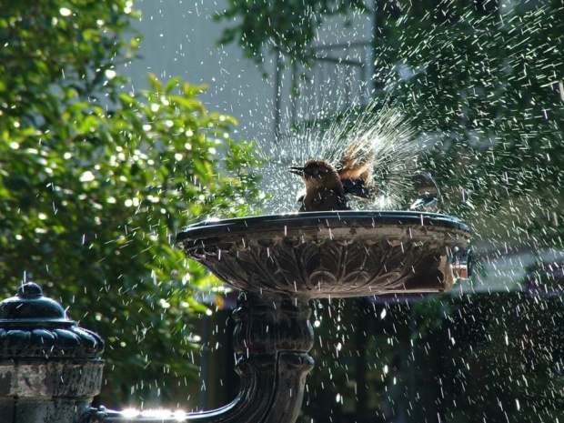 Жега между 35 и 40° през юли