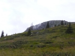 Три хеликоптера летят към пожара на Витоша