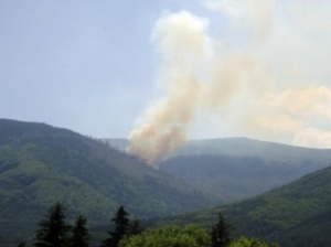 Паднали дървета и сухи треви горели на Витоша