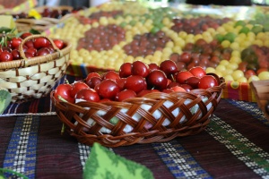 Тон череши изчезнаха от охранявана градина само за денонощие