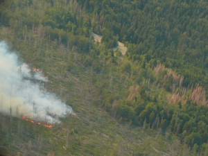 Двойно повече военни срещу огнената стихия на Витоша