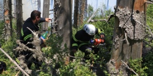 Шести ден битка за Витоша