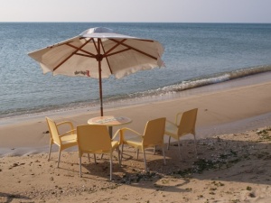 Плажен бар с 12 акта от данъчните