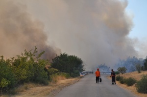 Над 500 души гасят пожара в Арбанаси