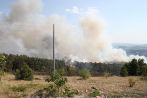 330 дка гора изпепелил пожарът край Арбанаси