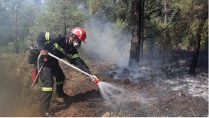 Пожар горя край Солун, угасиха го за ден