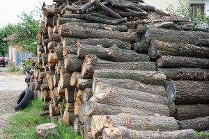 Търгове за дървесина елиминират фирми с високи финансови критерии