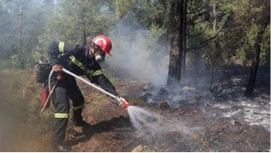 500 дка гори край Стара Загора в пламъци