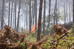 Искра от трактор запали землищата на пет села