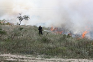 10 екипа гасят пожара в Хасковско, той обхвана 1200 дка