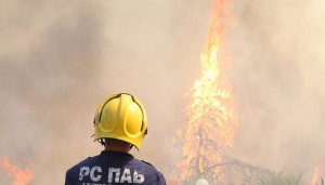 Задимяване от пожара затвори пътя между Голямата звезда и село Главан