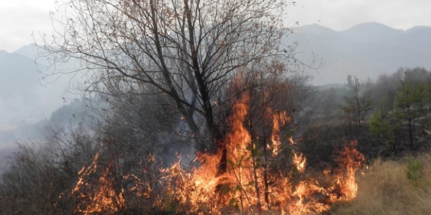 Два пожара пламнаха край Велико Търново