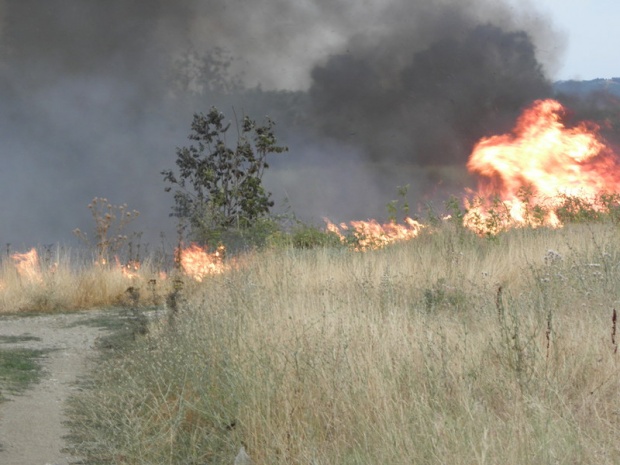 Пожар горя край вилната зона на Черноморец