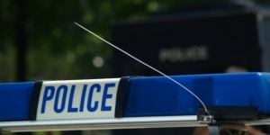 Тийнейджър простреля с въздушна пушка две момчета, брали круши