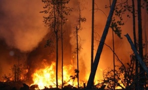 Над 180 пожара вилнеят в Сибир, 15 млн. хектара опустошени