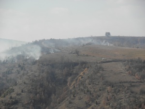 807 горски пожара в България за седмица