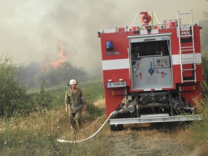 Над 1000 дка борова гора горят в Благоевградско