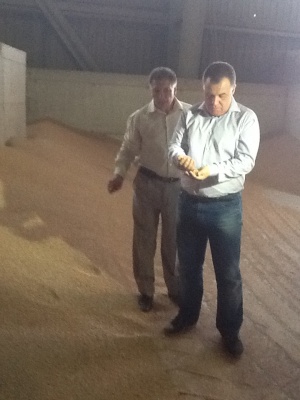 Масови проверки на производители и търговци на зърно в цяла България