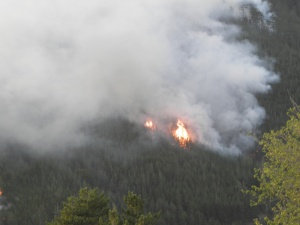 310 пожара бушували в България само за денонощие