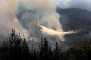 Укротиха пожара на Атон с българска помощ