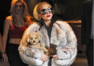 Лейди Гага си навлече неприятности заради кожено палто в София