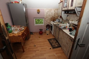 Нашествие на хлебарки в Перник след земетресението