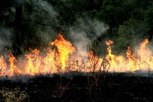 Голям пожар избухна край Своге