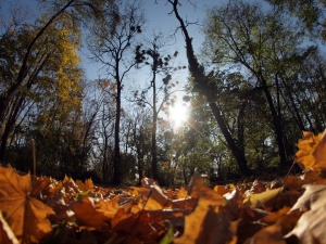 Идва есен с топло време и малко валежи