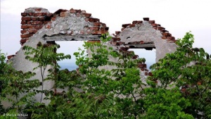 „Нойе Цюрхер Цайтунг": България постепенно се обезлюдява