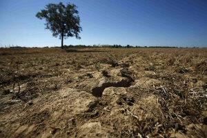 Най-тежката суша от 40 години мори Балканите
