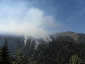 375 души се борят с огнената стихия в Рила