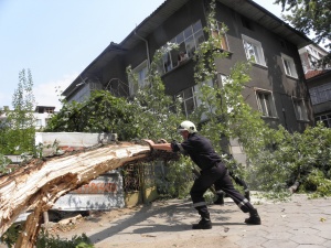 Силен вятър стовари дърво върху къща в Благоевград