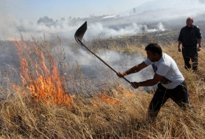 300 пожара ликвидирали огнеборците само за 24 часа