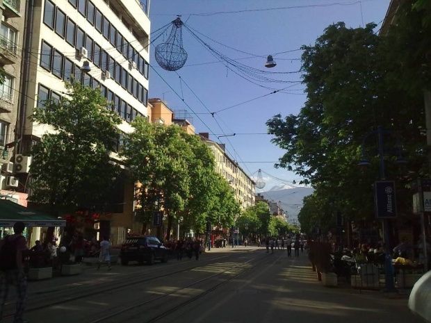 „Витошка" номер едно в света по спад на наемите