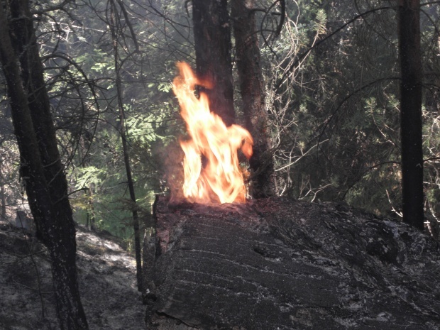 Пожар в парк „Тюлбето" пълзи към вилна зона в Казанлък