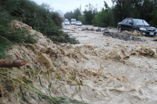 Тайфун остави 20 000 домакинства в Япония без ток