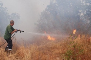 Локализирани са всички пожари край София