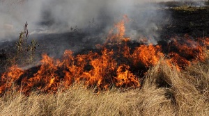 Голям пожар пламна до границата с Македония